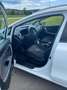 Kia Ceed SW / cee'd SW cee'd SW 1,4 MPI Titan Plus Titan Plus Weiß - thumbnail 5