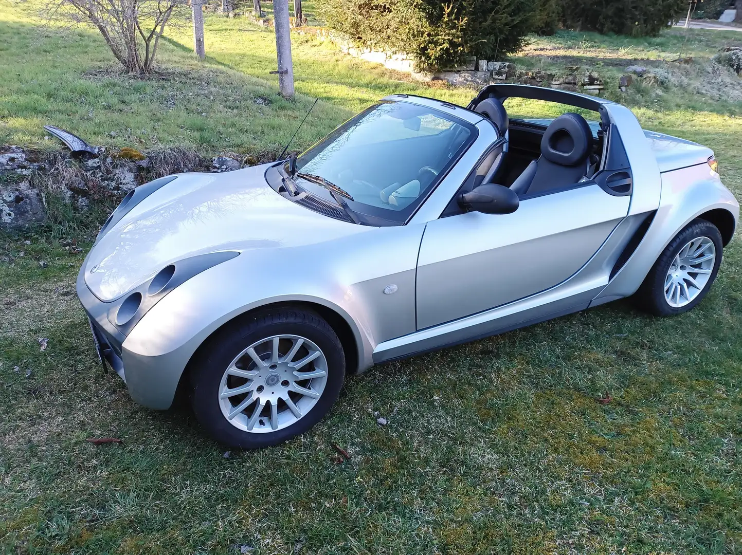 smart roadster Softtouch Stříbrná - 2