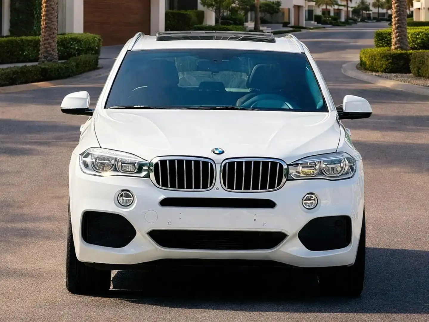 BMW X5 X5 xDrive 35iA Blanco - 2