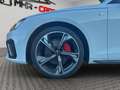 Audi A4 40 quattro 2.0 TDI S line Competition Plus Weiß - thumbnail 9