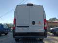 Fiat Ducato 250 BTNFC HEEK - thumbnail 3