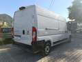Fiat Ducato 250 BTNFC HEEK - thumbnail 4