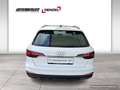 Audi A4 Avant 30 TDI S-line S-tronic (8W) LED PDC Weiß - thumbnail 5