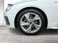 Audi A4 Avant 30 TDI S-line S-tronic (8W) LED PDC Weiß - thumbnail 6