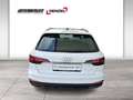 Audi A4 Avant 30 TDI S-line S-tronic (8W) LED PDC Weiß - thumbnail 5