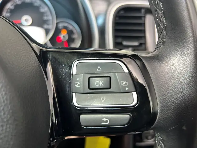 Volkswagen Beetle view 15
