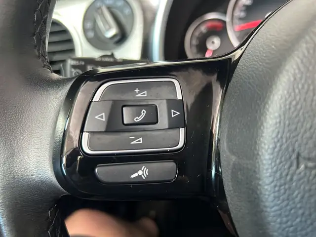 Volkswagen Beetle view 14
