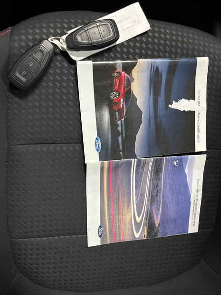 Ford Kuga 2.5 PHEV ST-Line X Clima | Navi | Camera | PDC — photo 18