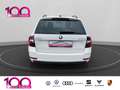 Skoda Octavia Combi Ambition TDI DSG+SHZ+LED+NAVI Blanc - thumbnail 5