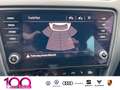 Skoda Octavia Combi Ambition TDI DSG+SHZ+LED+NAVI Blanc - thumbnail 13
