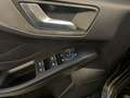 Ford Focus Titanium  Hybrid Automatik Grau - thumbnail 12