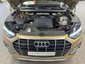 Audi Q5 40 TDI quattro advanced Matrix LED Pano air s Beige - thumbnail 17