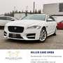 Jaguar XF Sportbrake 20d R-Sport Aut.*Sevicegepflegt* 12 ... Weiß - thumbnail 3