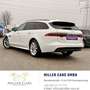 Jaguar XF Sportbrake 20d R-Sport Aut.*Sevicegepflegt* Weiß - thumbnail 5