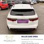 Jaguar XF Sportbrake 20d R-Sport Aut.*Sevicegepflegt* Weiß - thumbnail 8