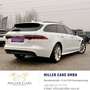 Jaguar XF Sportbrake 20d R-Sport Aut.*Sevicegepflegt* Weiß - thumbnail 6