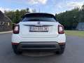 Fiat 500X FireFly Cross Automatik TEMP ASSIST PDC Weiß - thumbnail 6