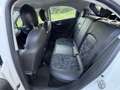 Fiat 500X FireFly Cross Automatik TEMP ASSIST PDC Weiß - thumbnail 12