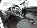 Ford B-Max Sync Edition Weiß - thumbnail 8