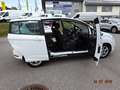 Ford B-Max Sync Edition Weiß - thumbnail 14