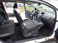 Ford B-Max Sync Edition Weiß - thumbnail 15