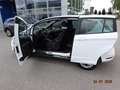 Ford B-Max Sync Edition Weiß - thumbnail 13