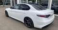 Alfa Romeo Giulia Tributo Italiano Q4 Rot - thumbnail 6