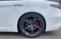 Alfa Romeo Giulia Tributo Italiano Q4 Rot - thumbnail 7