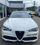 Alfa Romeo Giulia Tributo Italiano Q4 Rot - thumbnail 2