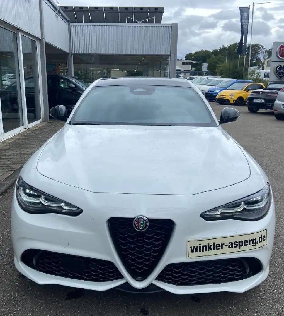 Alfa Romeo Giulia Tributo Italiano Q4 Rot - 2