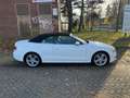 Audi A5 2.0 TFSI quattro S line Sport / Plus Weiß - thumbnail 15