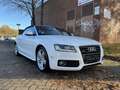 Audi A5 2.0 TFSI quattro S line Sport / Plus Weiß - thumbnail 1