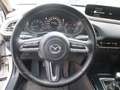Mazda CX-30 Selection 2WD*Navi*360° Kamera*Leder* Wit - thumbnail 10