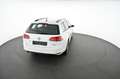 Volkswagen Golf Variant Golf VII Trendline BlueMotion 1,6 TDI Pickerl NEU Weiß - thumbnail 12