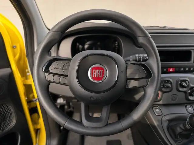 Fiat Pandina view 9