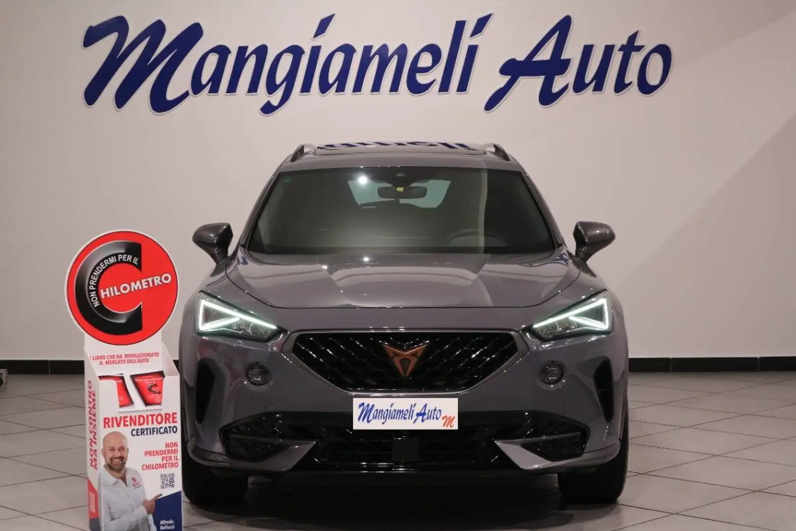 CUPRA Formentor 2.0 tdi 4drive 150cv dsg Grigio - 2