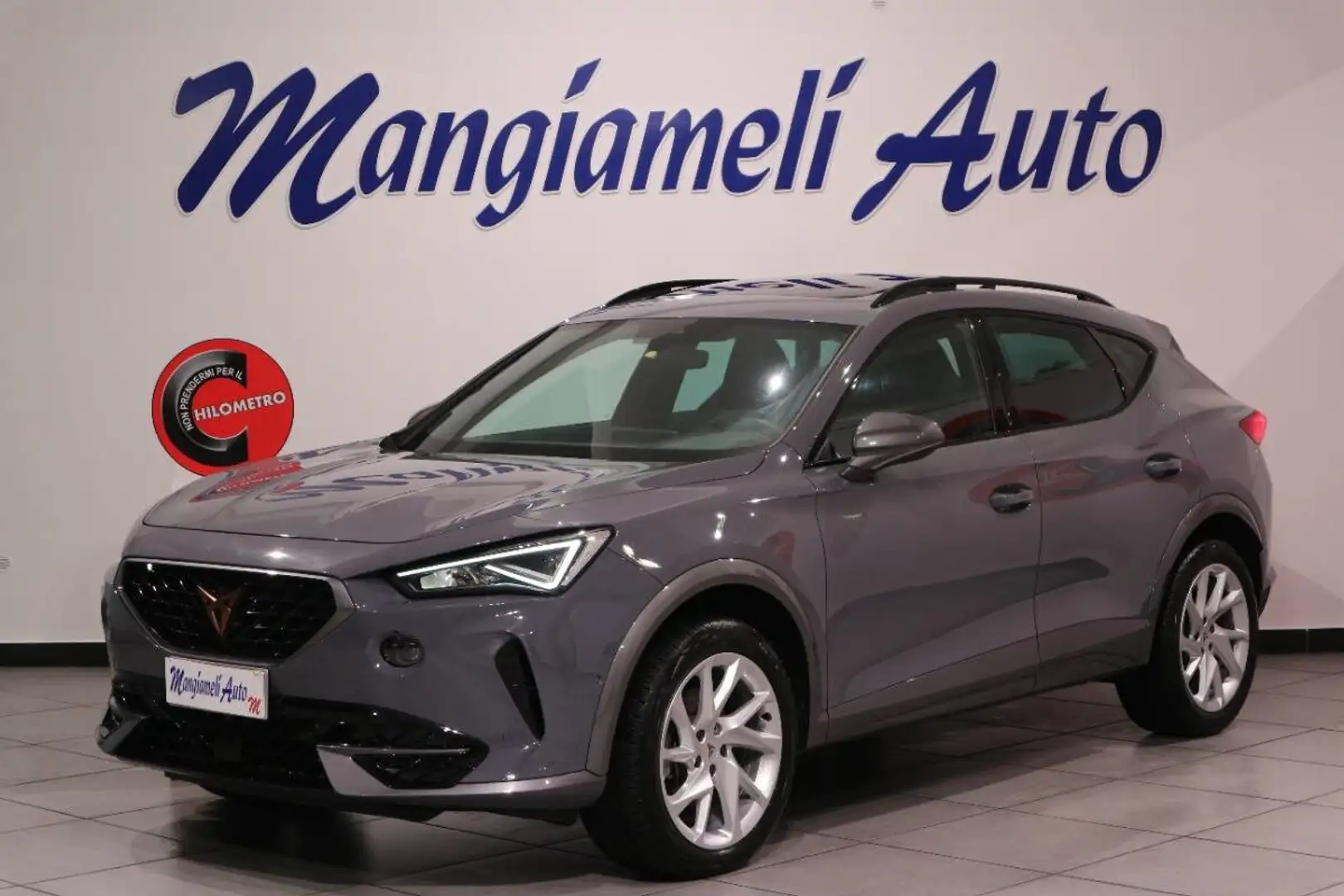 CUPRA Formentor 2.0 tdi 4drive 150cv dsg Grigio - 1