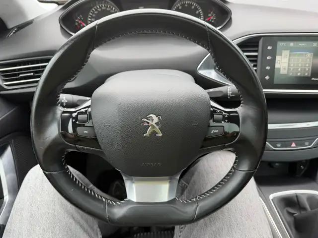 Peugeot 308 view 10
