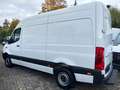 Mercedes-Benz Sprinter 317 CDI L2H2|360°KAM|BREMSE+REIF+TÜVneu Weiß - thumbnail 6