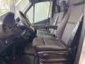 Mercedes-Benz Sprinter 317 CDI L2H2|360°KAM|BREMSE+REIF+TÜVneu Weiß - thumbnail 10