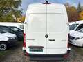 Mercedes-Benz Sprinter 317 CDI L2H2|360°KAM|BREMSE+REIF+TÜVneu Weiß - thumbnail 5