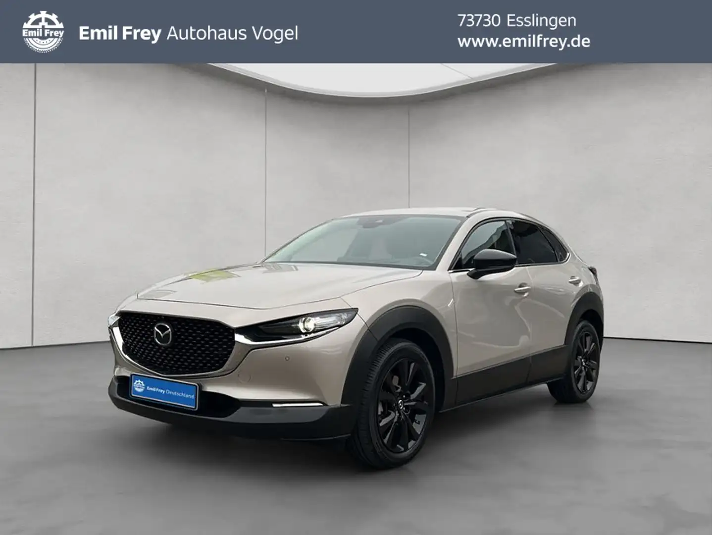 Mazda CX-30 e-SKYACTIV-X 2.0 AWD Argent - 1