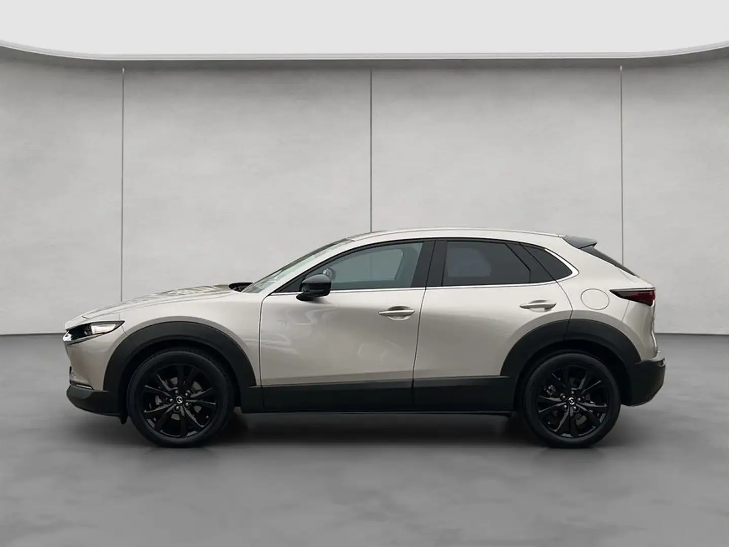 Mazda CX-30 e-SKYACTIV-X 2.0 AWD Plateado - 2