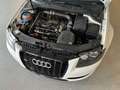 Audi S3 2.0 TFSI Quattro|2HD|KW V3|Elektrikproblem Blanc - thumbnail 15