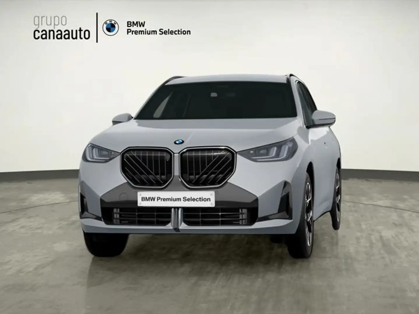 BMW X3 xDrive30e 220 kW (299 CV) Gris - 1