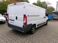Fiat Ducato Kasten 30 115 L2H1 RS: 3450 mm Weiß - thumbnail 2