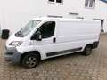Fiat Ducato Kasten 30 115 L2H1 RS: 3450 mm Weiß - thumbnail 11