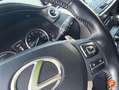 Lexus NX 300 300h Business 2WD Gris - thumbnail 19