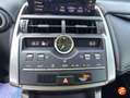 Lexus NX 300 300h Business 2WD Gris - thumbnail 23