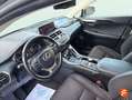 Lexus NX 300 300h Business 2WD Gris - thumbnail 16